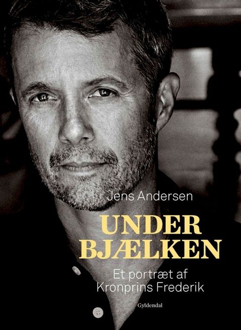 Under bj&aelig;lken(Kobo/電子書)