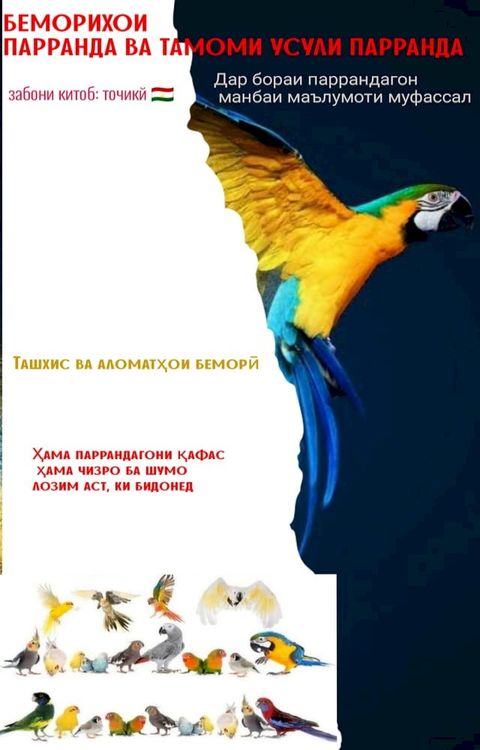 БЕМОРИХОИ ПАРР...