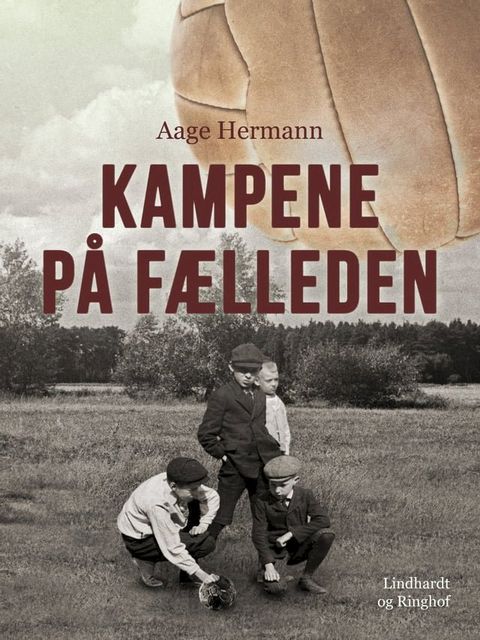 Kampene p&aring; F&aelig;lleden(Kobo/電子書)