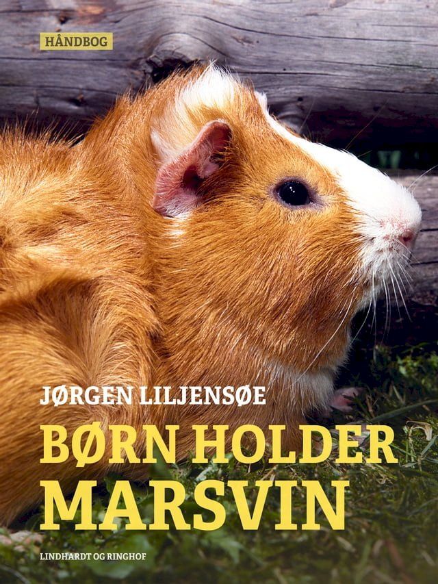  Børn holder marsvin(Kobo/電子書)