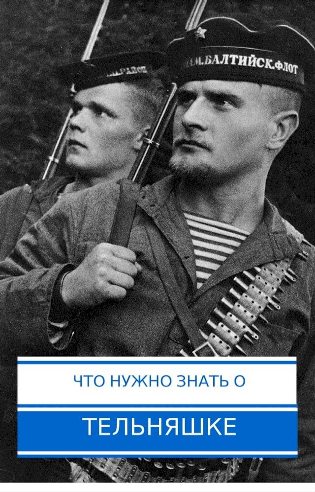  Что нужно знать о тельняшке(Kobo/電子書)