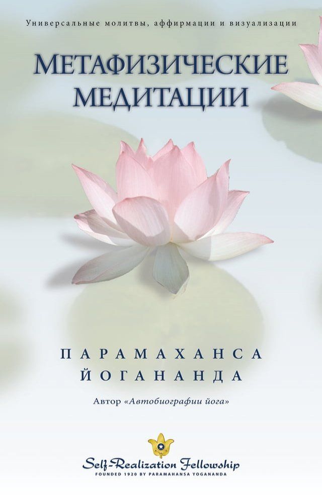  Метафизические медитации(Kobo/電子書)