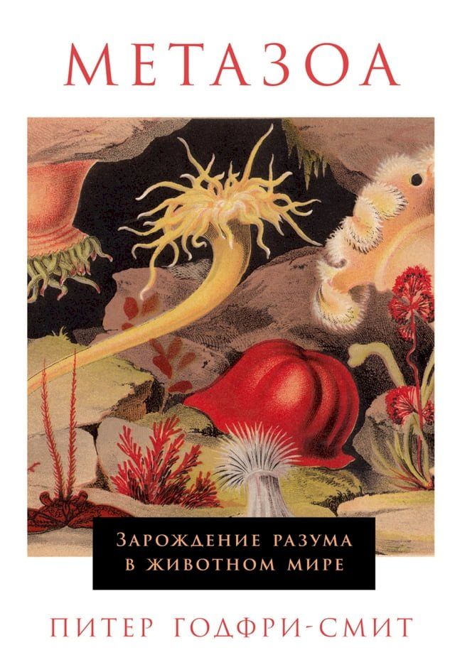  Метазоа: Зарождение разума в животном ...(Kobo/電子書)