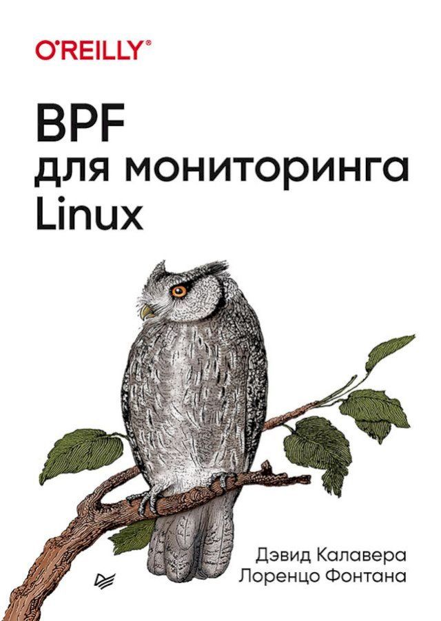  BPF для мониторинга Linux(Kobo/電子書)