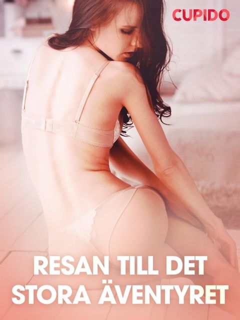 Resan till det stora &auml;ventyret - erotiska noveller(Kobo/電子書)