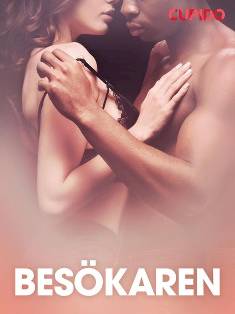 Bes&ouml;karen – erotisk novell(Kobo/電子書)