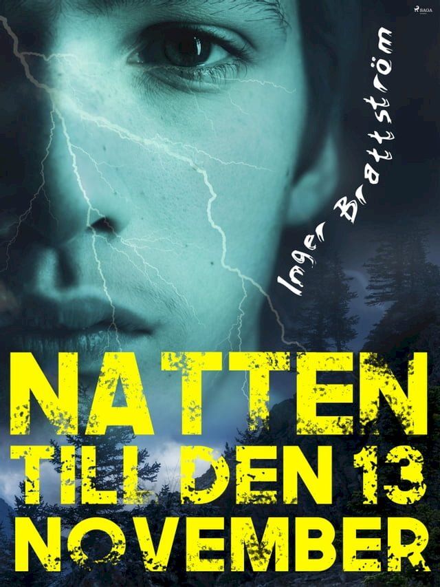  Natten till den 13 november(Kobo/電子書)