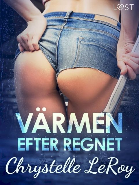 V&auml;rmen efter regnet - erotisk novell(Kobo/電子書)