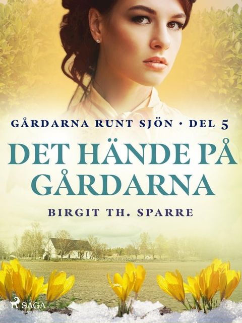 Det hände på gårdarna(Kobo/電子書)