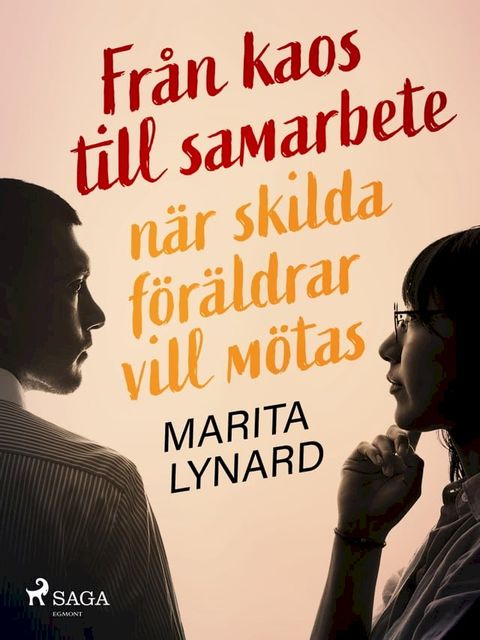 Från kaos till samarbete: när skilda föräldrar vill mötas(Kobo/電子書)