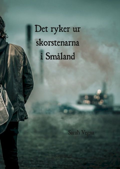 Det ryker ur skorstenarna i Sm&aring;land(Kobo/電子書)