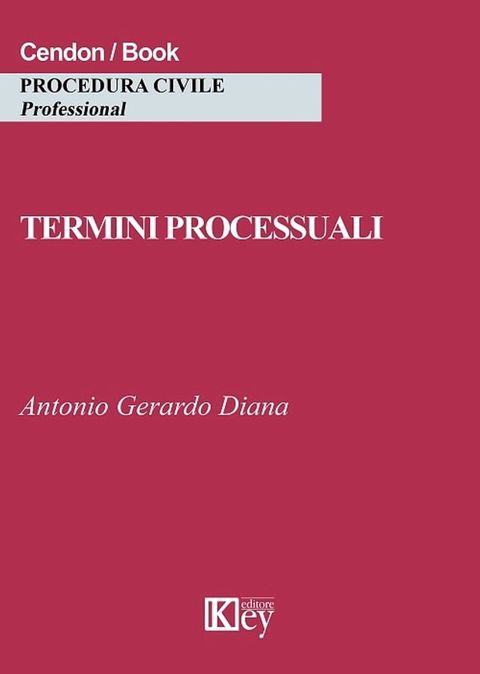 Termini processuali(Kobo/電子書)