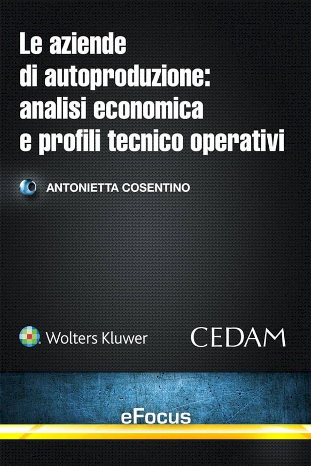  Le aziende di autoproduzione: analisi economica e profili tecnico-operativi(Kobo/電子書)