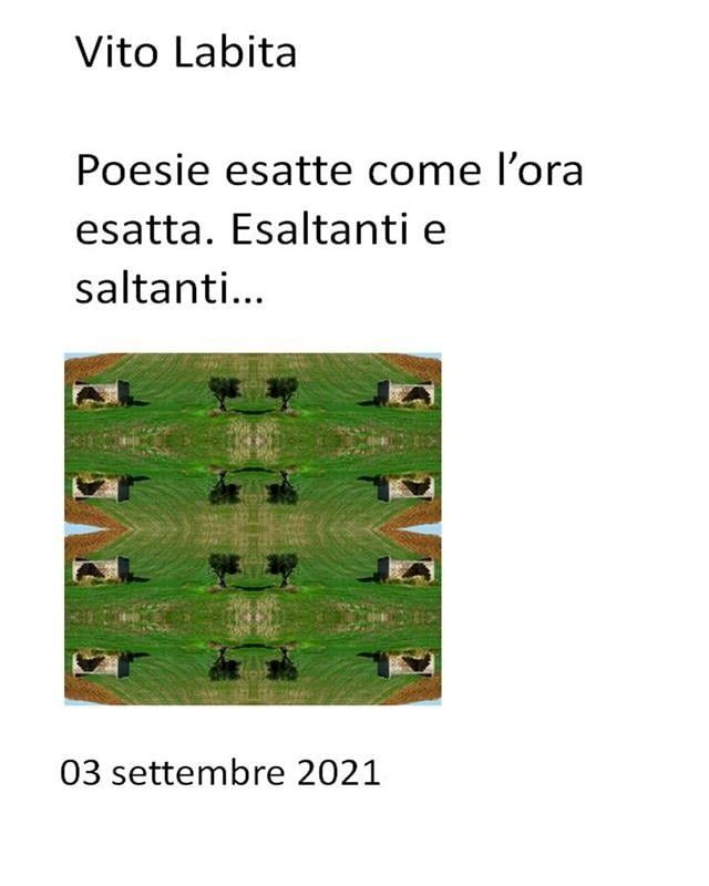  Poesie esatte come l'ora esatta. Esaltanti e saltanti(Kobo/電子書)