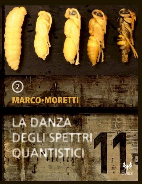 La danza degli spettri quantistici / L'occhio delle stelle(Kobo/電子書)