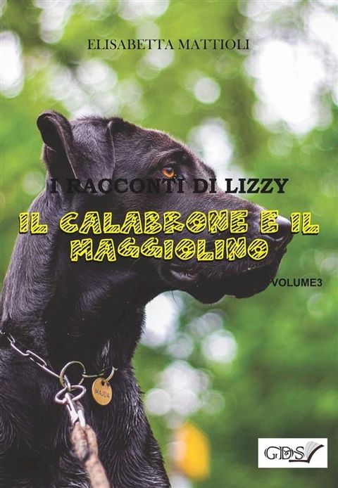 Il calabrone e il Maggiolino(Kobo/電子書)