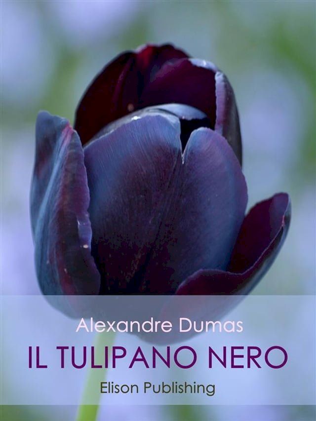  Il tulipano nero(Kobo/電子書)