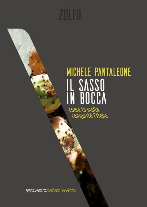 Il sasso in bocca(Kobo/電子書)