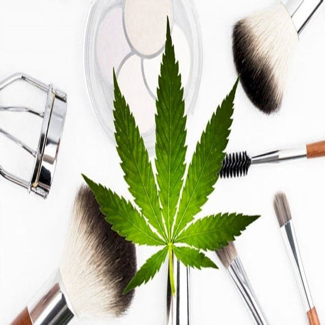  Applicazioni cosmetiche dei componenti della Cannabis sativa(Kobo/電子書)