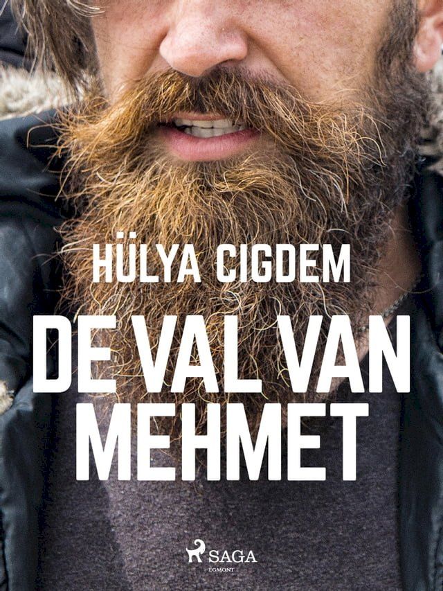  De val van Mehmet(Kobo/電子書)