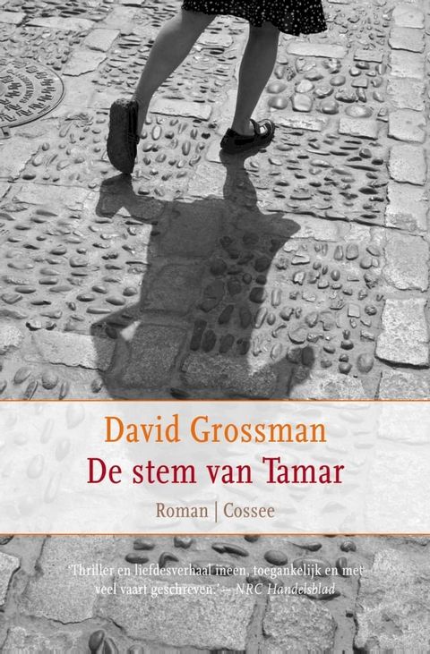 De stem van Tamar(Kobo/電子書)