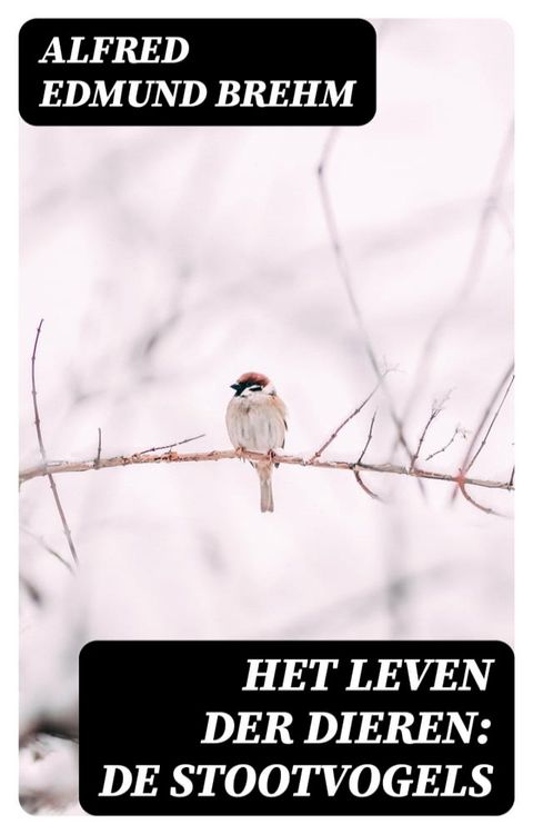 Het Leven der Dieren: De Stootvogels