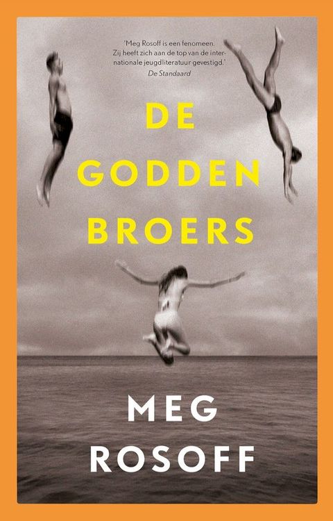 De Godden broers(Kobo/電子書)