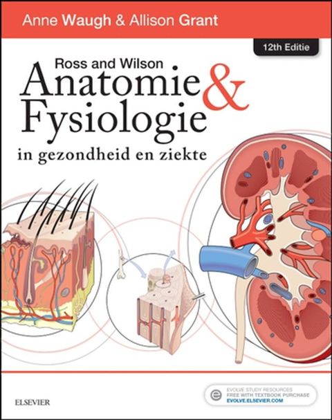 Ross and Wilson Anatomie en Fysiologie in gezondheid en ziekte - E-Book(Kobo/電子書)