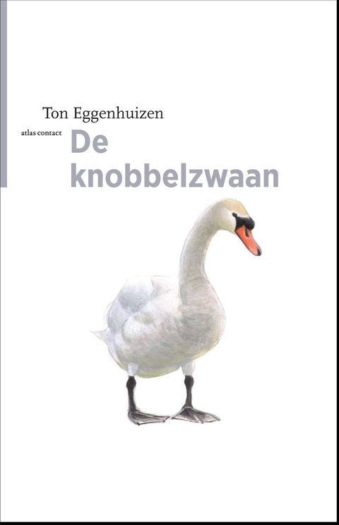 De knobbelzwaan