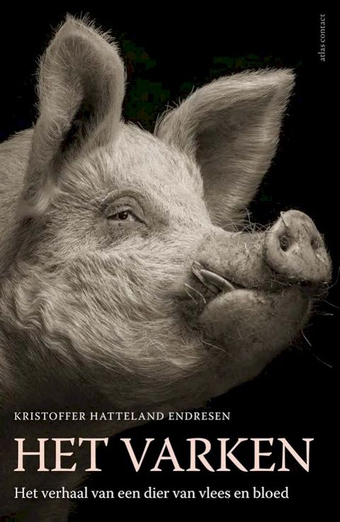 Het varken
