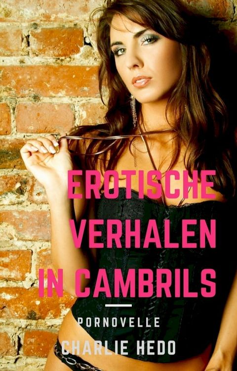 Erotische verhalen in Cambrils(Kobo/電子書)