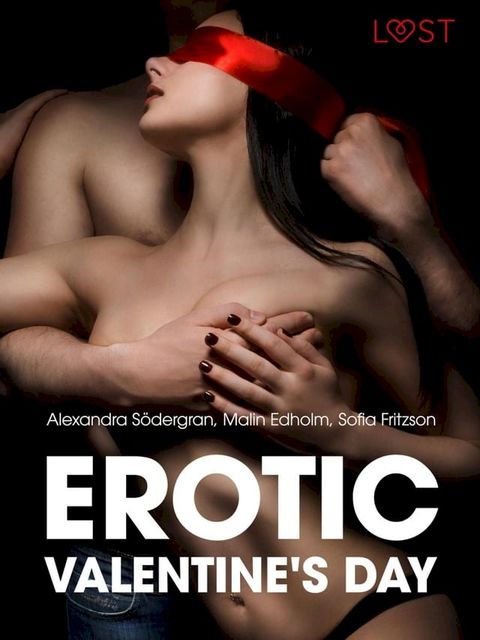 Erotic Valentine s Day - 5 erotische verhalen(Kobo/電子書)