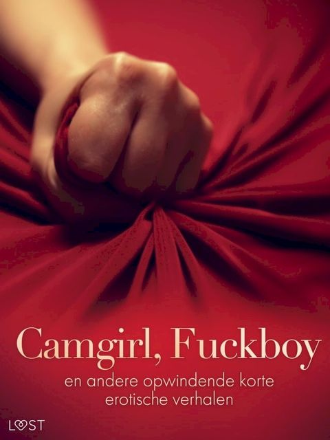 Camgirl, Fuckboy en andere opwindende korte erotische verhalen(Kobo/電子書)