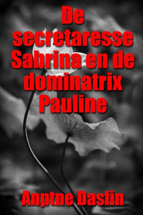 De secretaresse Sabrina en de dominatrix Pauline(Kobo/電子書)