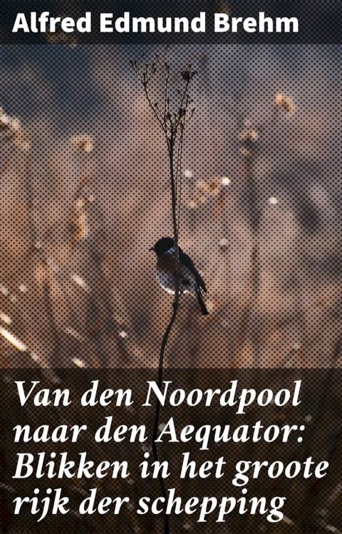 Van den Noordpool naar den Aequator: Blikken in het groote rijk der schepping