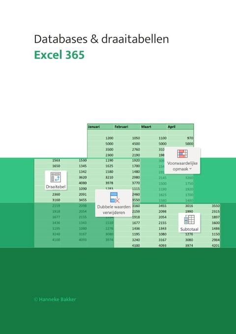 Excel 365 Databases & draaitabellen(Kobo/電子書)