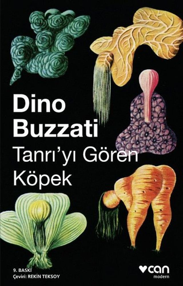  Tanrıyı Gören Köpek(Kobo/電子書)