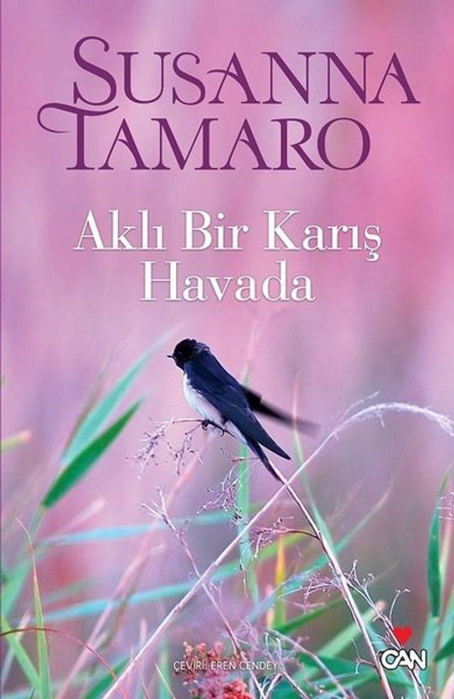  Aklı Bir Karış Havada(Kobo/電子書)