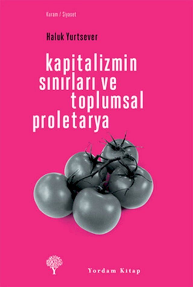  Kapitalizmin Sınırları ve Toplumsal Proletarya(Kobo/電子書)