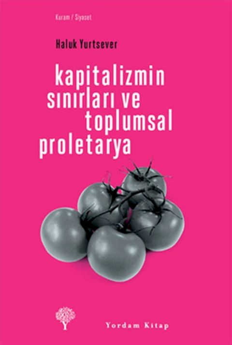 Kapitalizmin Sınırları ve Toplumsal Proletarya(Kobo/電子書)