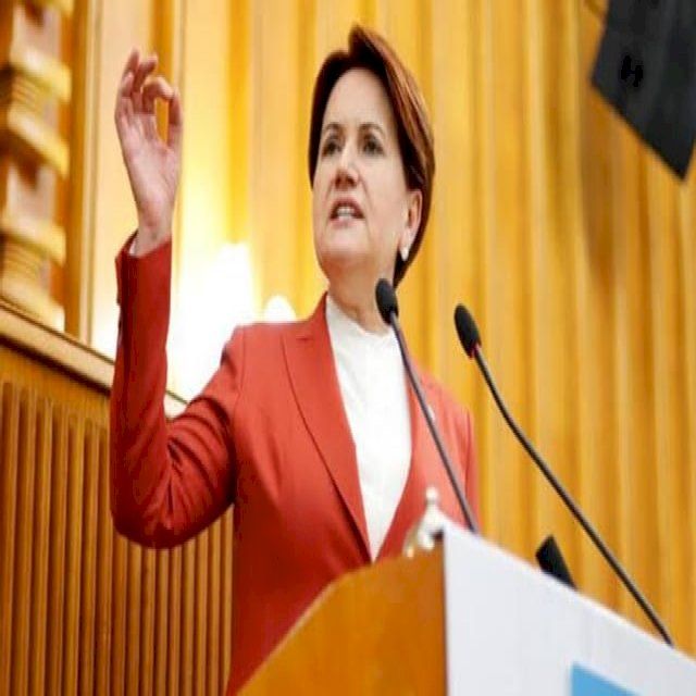  Meral Akşener tanıyalım(Kobo/電子書)