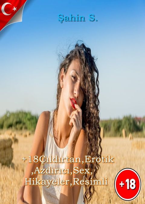 +18 Çıldırtan,Erotik,Azdırıcı,Sex,Hikayeler(Kobo/電子書)