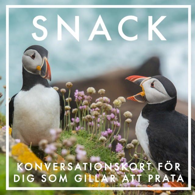  SNACK : Konversationskort f&ouml;r dig som gillar att prata (Epub2)(Kobo/電子書)