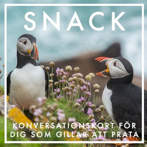 SNACK : Konversationskort f&ouml;r dig som gillar att prata (Epub2)(Kobo/電子書)