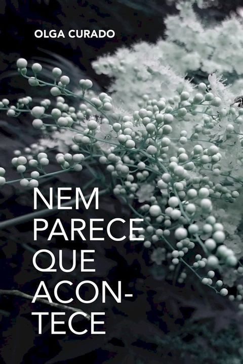 Nem parece que acontece(Kobo/電子書)