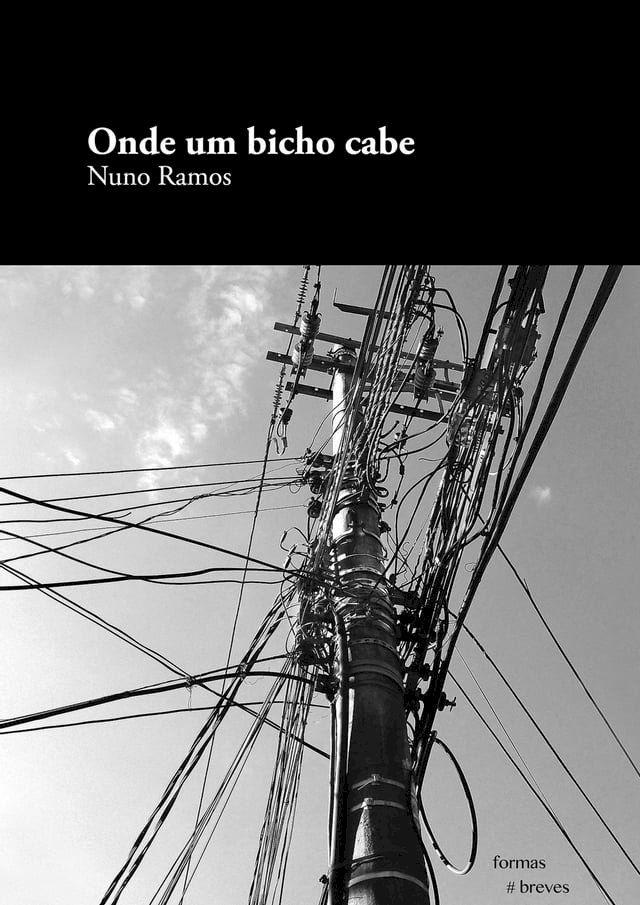  Onde um bicho cabe(Kobo/電子書)