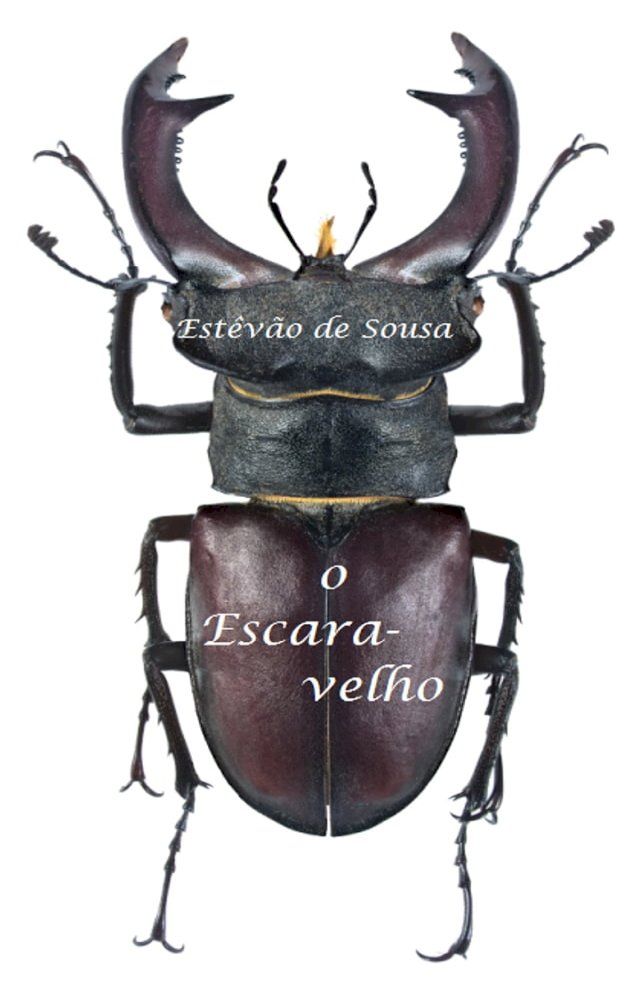  O Escaravelho(Kobo/電子書)