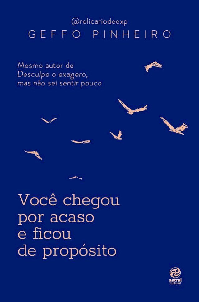  Você chegou por acaso e ficou de propósito(Kobo/電子書)