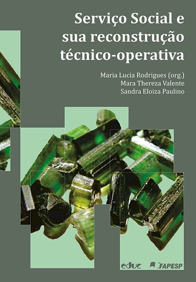  Serviço Social e sua reconstrução técnico-operativa(Kobo/電子書)