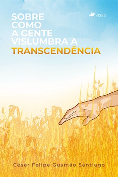 Sobre como a gente vislumbra a Transcendência(Kobo/電子書)